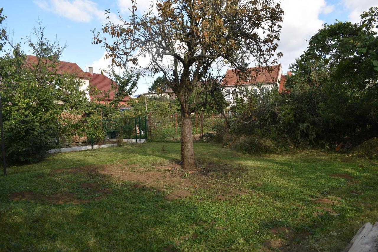 Veselí nad Moravou Chalupa Veseli מראה חיצוני תמונה